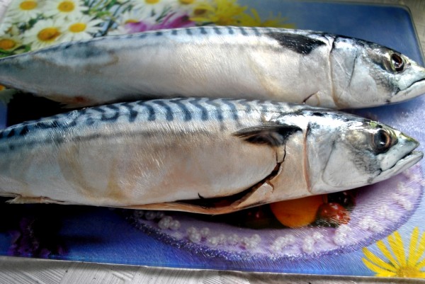 Скумбрия,запеченная с овощами